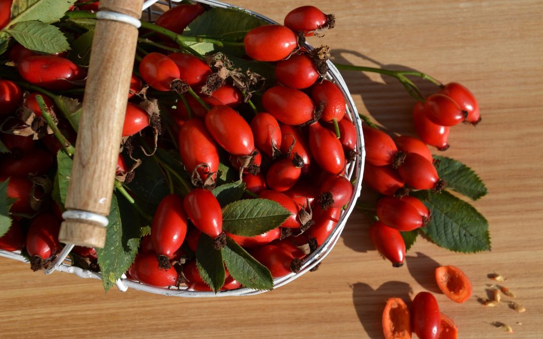 Rosehip