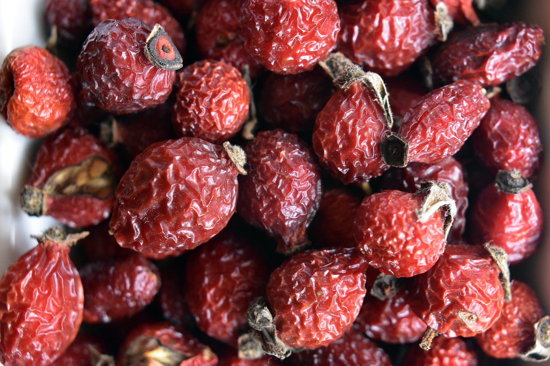 Nigiro's honeybush tea cyclopia intermedia flower